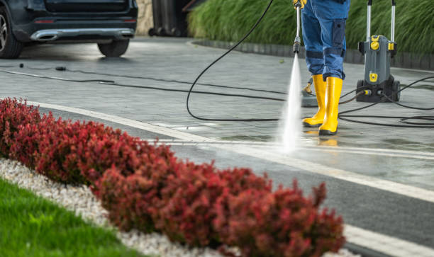 Best Deck Cleaning Services  in Audubon, PA